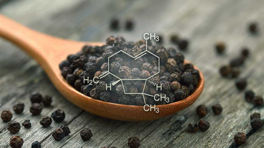 Structural formula of Caryophyllene placed over image of black pepper. 